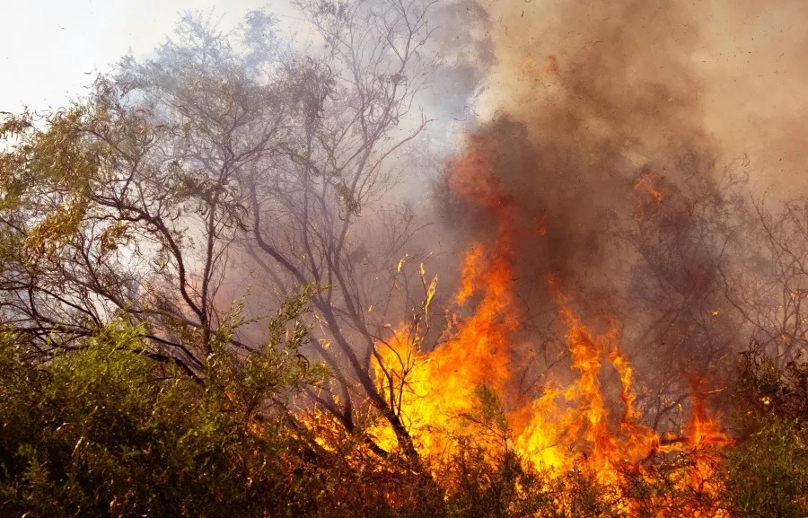 Ondas de calor, enchentes, fenômeno El Niño e novas exigências ambientais ampliam o debate sobre eficiência, resiliência e inovação no setor AVAC-R